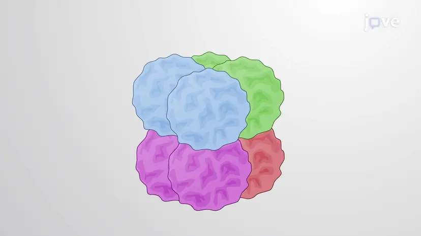 The Nucleosome Core Particle